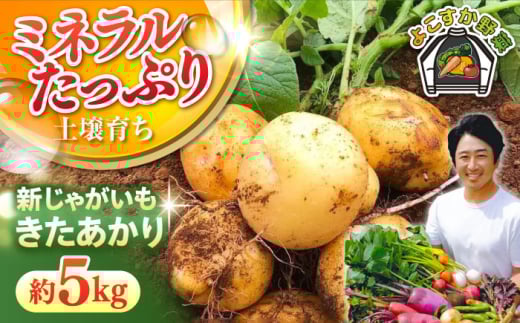 【先行予約】新じゃが きたあかり 約5kg 野菜 やさい 【鈴也ファーム】 [AKCE021]