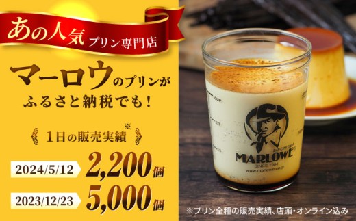 【全12回定期便】葉山ビーカープリン パーティーアソート セット 6種×2個 詰め合わせ（カスタード・かぼちゃ・抹茶・北海道フレッシュクリーム・エスプレッソ・チョコレート）プリン ぷりん スイーツ デザート パーティーセット 詰め合わせ 食べ比べ 焼きプリン 人気 お菓子 贈り物 贅沢 人気 ギフト ご褒美 洋菓子 おかし ビーカープリン プレゼント 横須賀【マーロウ】 [AKAF049]