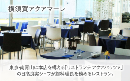 横須賀美術館観覧券・レストランアクアマーレ食事券（ランチコース/おひとり券）【横須賀美術館】 [AKBX004]