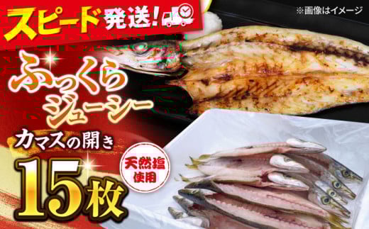 漁師町佐島 カマスの開き 15枚セット 干物 開き 魚 おつまみ 横須賀 冷凍干物 厳選干物 人気干物 干物セット 【石川水産】 [AKCX002]