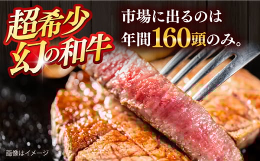 【数量限定20セット】厚切り！葉山牛 サーロインステーキ 約500g（1枚）  ステーキ すてーき ステーキ肉 すてーき肉 牛肉 国産 ブランド 絶品 高級 極上 人気 おすすめ オススメ 葉山牛 厚切り 神奈川県 横須賀市 冷凍【ヨコスカマルシェ・koshikiya（株）】 [AKGO003-1]