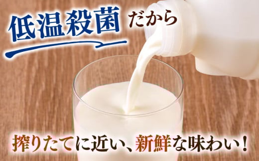 低温殺菌牛乳 ジャージー牛乳 牛乳 人気 3本セット【よこすか関口牧場】 [AKGN001]