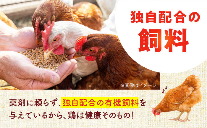 【全3回定期便】安田養鶏場の卵 3種セット しおさい アトムくん タフラン 30個入り（各10個入り） 横須賀市 産地直送 割れ保証付き たまご 黄身 濃厚 卵 玉子 タマゴ 鶏卵  【安田養鶏場】 [AKHN011]