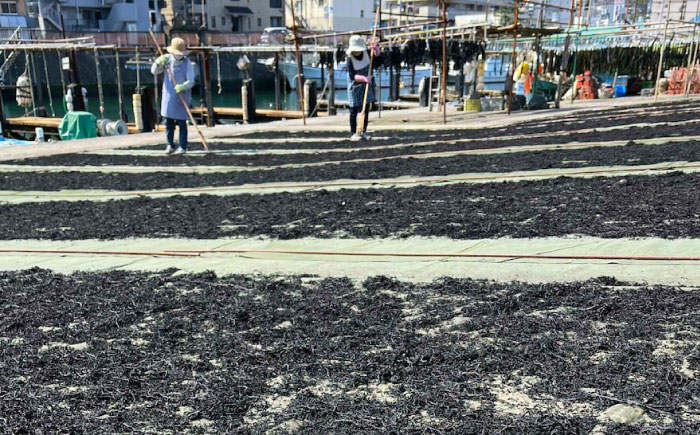 三浦半島産ひじき（35g×5個）わかめ（90g）セット ヒジキ 乾物 神奈川 わかめ ワカメ ひじき 海藻 かいそう 天日干し 国産 横須賀【小川海産物有限会社】 [AKDU002]