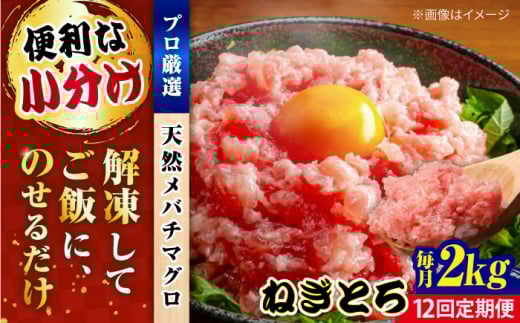 【全12回定期便】まぐろ ねぎとろ 約2kg（約250g×8パック） 鮪 マグロ 魚 ネギトロ 横須賀【本まぐろ直売所】 [AKAK040]