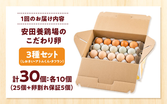 【全3回定期便】安田養鶏場の卵 3種セット しおさい アトムくん タフラン 30個入り（各10個入り） 横須賀市 産地直送 割れ保証付き たまご 黄身 濃厚 卵 玉子 タマゴ 鶏卵  【安田養鶏場】 [AKHN011]