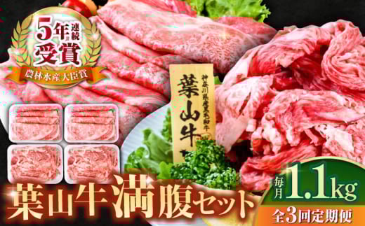 【全3回定期便】葉山牛満腹セット（肩ロースすき焼用250g×2＋切落し300g×2） 国産牛 牛肉 切り落とし 肩ロース 贅沢 セット たっぷり 大容量 1キロ超え 高級和牛 冷凍 黒毛和牛 国産 希少品種 小分け 横須賀 すき焼き すきやき 肉じゃが カレー 料理 ぎゅうにく きりおとし【株式会社羽根】 [AKAG042]