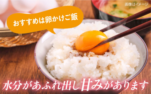 【数量限定100セット】令和7年産 お米 はるみ 5kg 米 お米 こめ おこめ コメ さっぱり 粘り うま味 精米 はるみ 神奈川県 神奈川 特Ａ ランキング  【株式会社ヨコショク】 [AKGC001]