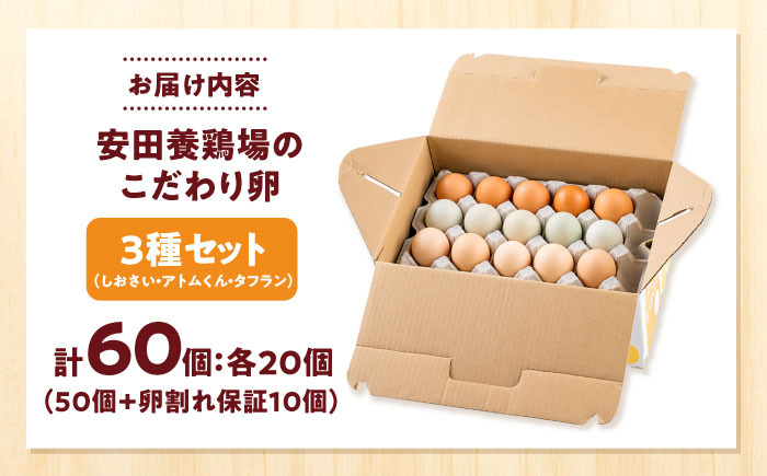 安田養鶏場の卵 3種セット しおさい アトムくん タフラン 60個入り（各20個入り） 横須賀市 産地直送 割れ保証付き たまご 黄身 濃厚 卵 玉子 タマゴ 鶏卵【安田養鶏場】 [AKHN007]
