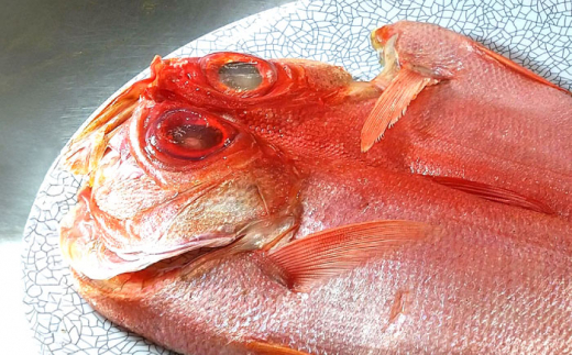 【全12回定期便】かながわブランド「三崎黒潮キンメ」鯛の特大干物 2枚入 約1400g 特大サイズ 金目鯛 干物 キンメの開き 冷凍便 定期  【長井水産株式会社】 [AKAJ026]