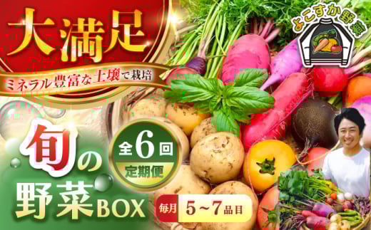 【全6回定期便】すずなり採れたて野菜BOX　(5～7品） 野菜  やさい 詰め合わせ 詰合せ 【鈴也ファーム】 [AKCE012]