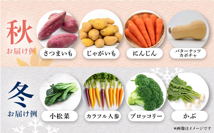 【年内発送の受付は12月22日まで！】【最短1週間以内発送】すずなり採れたて野菜BOX（5〜7品目）野菜セット 詰め合わせ 季節野菜 やさい 産地直送 旬 新鮮 横須賀 年内発送 【鈴也ファーム】 [AKCE001]