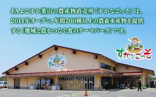【先行予約】よこすか 春キャベツ 8玉入り キャベツ 春キャベツ きゃべつ 野菜 旬 サラダ 採れたて 新鮮 国産 こだわり すかなごっそ 神奈川県 横須賀市【JAよこすか葉山】 [AKFO005] 8000円 8千円