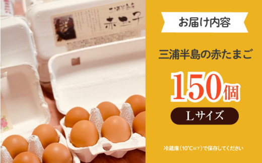 餌にこだわった三浦半島産赤たまご Lサイズ10kg（約150個） 卵 たまご 【横須賀商工会議所　おもてなしギフト事務局（岩沢ポートリー）】 [AKET006]
