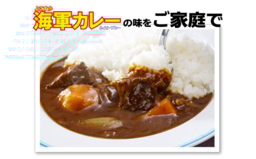 よこすか海軍カレー ネイビーブルーカレーフレーク 125g×53袋 カレー 海上自衛隊カレー 海軍カレー 軍艦 横須賀 自衛隊 神奈川 レトルト 非常食 保存食  【横須賀商工会議所 おもてなしギフト事務局（株式会社調味商事）】 [AKAQ014]