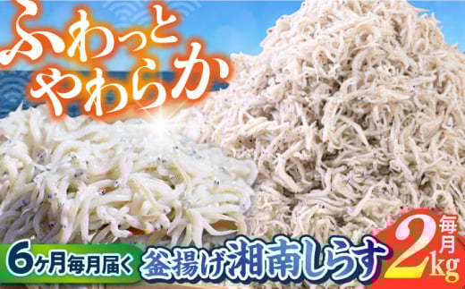【全6回定期便】釜揚げ 湘南しらす 1kg×２P / しらす 湘南 ふわふわ 食感 冷凍 国産 シラス お取り寄せ 人気 大容量 佐島 横須賀 かながわブランド 神奈川県【平敏丸】 [AKEZ015]