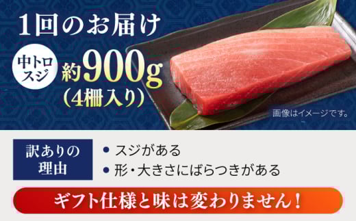 【全6回定期便】【訳あり】天然 本まぐろ 中トロ 計約900g (4柵入り) 鮪 マグロ 魚 刺身 横須賀【本まぐろ直売所】 [AKAK069]