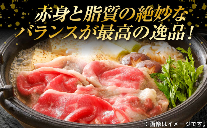 【全3回定期便】葉山牛肩ロースすき焼き用 250g×4パック 小分け 牛肉 すきやき 冷凍  計1.0kg とろける 国産牛 贅沢 牛肉 切り落とし うす切り 高級和牛 1キロ 冷凍 黒毛和牛 国産 和牛 肩ロース 赤身 希少品種 小分け すき焼き すきやき しゃぶしゃぶ ぎゅうにく きりおとし たっぷり 大容量 横須賀 お取り寄せ【株式会社羽根】 [AKAG039]