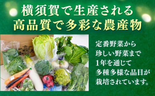 【全3回定期便】よこすか野菜セット すかなボックス 野菜 お野菜 季節野菜 やさい 詰め合わせ 詰合せ セット お楽しみ 産地直送 旬 厳選 すかなごっそ 農産物 神奈川県 横須賀市【JAよこすか葉山】 [AKFO007]