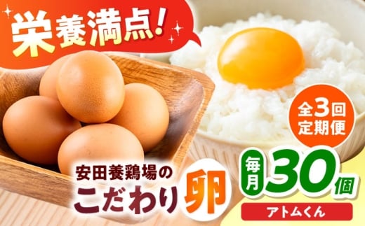 【全3回定期便】安田養鶏場の卵 アトムくん 30個入り 横須賀市 産地直送 割れ保証付き たまご 黄身 濃厚 卵 玉子 タマゴ 鶏卵  【安田養鶏場】 [AKHN009]