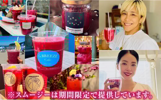 【全12回定期便】横須賀BASEビーツ 10kg（1kg×10袋）【ゆり子ファーム】 [AKCR012]