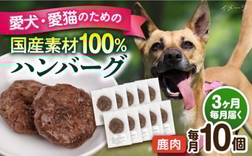 【全3回定期便】ペットフード 鹿肉 100%ハンバーグ 10個セット ペット 犬 猫 手作り 国産 てづくり こだわり ドッグフード  横須賀 【ペットフードYM japan】 [AKEX011]