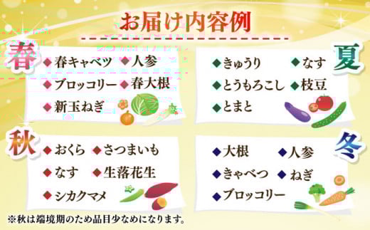 【全3回定期便】よこすか野菜セット すかなボックス 野菜 お野菜 季節野菜 やさい 詰め合わせ 詰合せ セット お楽しみ 産地直送 旬 厳選 すかなごっそ 農産物 神奈川県 横須賀市【JAよこすか葉山】 [AKFO007]