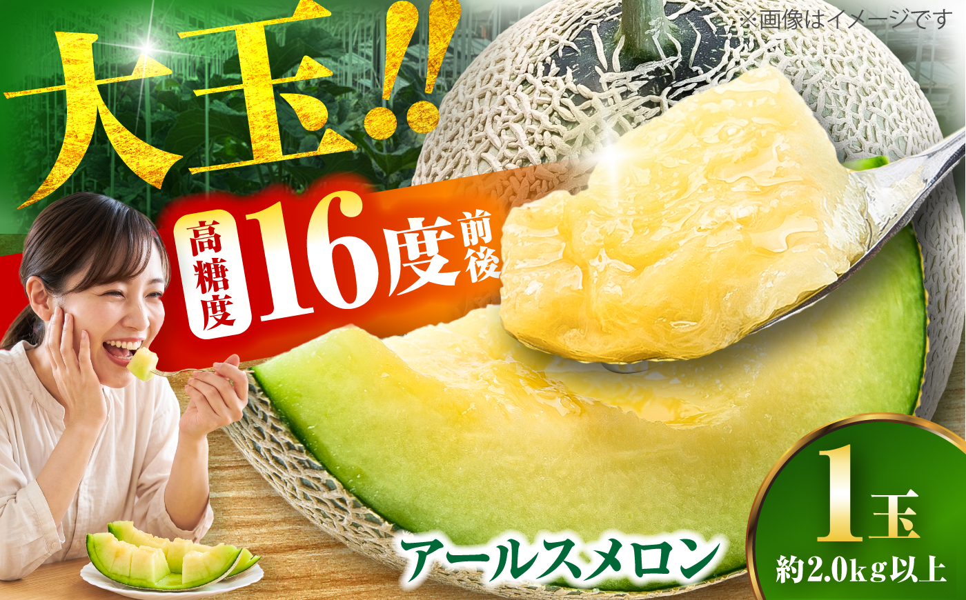 【数量限定30セット】神奈川県産 津久井浜 温室メロン アールスメロン 大玉 糖度16度前後 約2.0kg以上 1玉【小林マルモ農園】 [AKJG001]