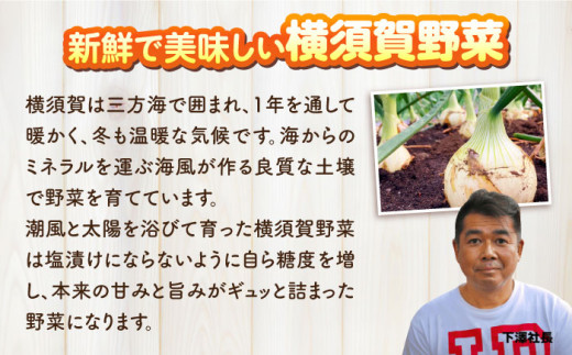 横須賀野菜ドレッシング特濃たまねぎ 400ml×4本  調味料 贈り物 ギフトお土産 お歳暮 横須賀【有限会社たのし屋本舗】 [AKAE029]