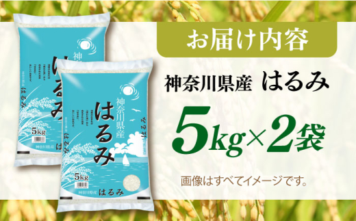 【数量限定100セット】令和7年産 お米 はるみ 10kg 米 お米 こめ おこめ コメ さっぱり 粘り うま味 精米 はるみ 神奈川県 神奈川  10キロ 特Ａ ランキング 【株式会社ヨコショク】 [AKGC002]