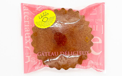 ギフト マドレーヌセット10個（レモンマドレーヌ5個 チョコマドレーヌ5個) 焼き菓子 小分け 詰め合わせ マドレーヌ スイーツ デザート 横須賀【パティスリーハダ】 [AKAM006]