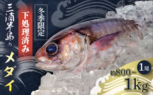 【先行予約】【冬季限定】下ごしらえ済 メダイ 約800g〜1kg 鮮魚 処理済み 下処理済み 【長井水産株式会社】 [AKAJ031]