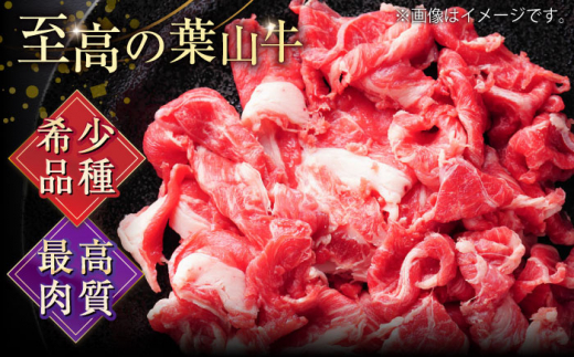 葉山牛 切り落とし300g×4パック 計1.2kg 小分け 牛肉 切り落とし 横須賀 冷凍 【株式会社羽根】 [AKAG003]