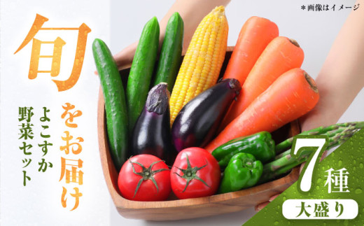 横須賀産野菜セット 大盛り 7種 詰め合わせ 野菜 セット 詰め合わせ 横須賀 横須賀野菜 キャベツ 玉ねぎ ブロッコリー なす にんじん きゅうり さつまいも 里芋 ゴーヤ 大根 ほうれん草【横須賀商工会議所 おもてなしギフト事務局（三浦半島直売所）】 [AKES002]