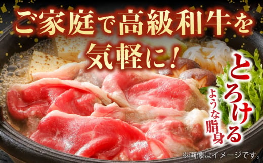 葉山牛 切り落とし300g×3パック 計900g 小分け 牛肉 切り落とし 横須賀 冷凍 【株式会社羽根】 [AKAG002]