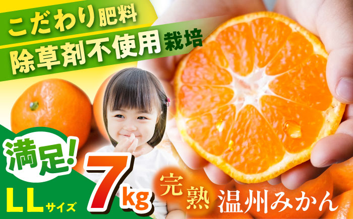 温州みかん LLサイズ 約7kg 津久井浜みかん 蜜柑 ミカン 果物 柑橘 フルーツ 横須賀【志村農園】 [AKGH004-2]