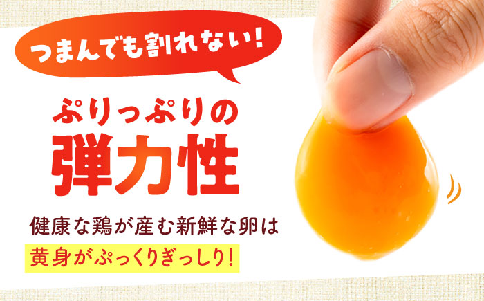 【全6回定期便】安田養鶏場の卵 3種セット しおさい アトムくん タフラン 30個入り（各10個入り） 横須賀市 産地直送 割れ保証付き たまご 黄身 濃厚 卵 玉子 タマゴ 鶏卵  【安田養鶏場】 [AKHN012]