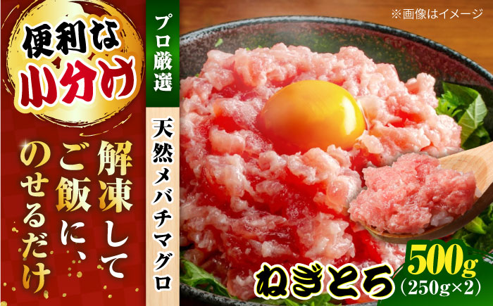 まぐろ ねぎとろ 約500g（約250g×2パック）【横須賀商工会議所 おもてなしギフト事務局（本まぐろ直売所 横須賀本店）】 [AKAK120]