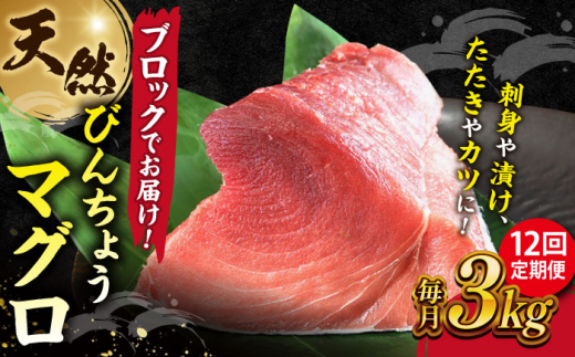 【全12回定期便】天然 まぐろ 冷凍ぶっこみブロック約3kg 鮪 マグロ 刺身 冷凍 横須賀【横須賀商工会議所 おもてなしギフト事務局（本まぐろ直売所 横須賀本店）】 [AKAK028]