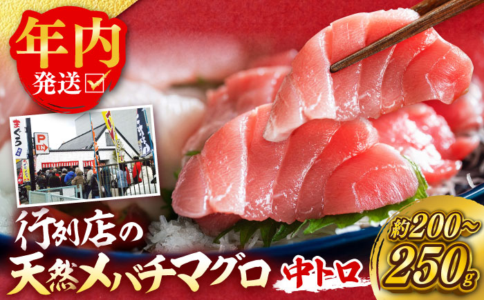 天然 まぐろ 中トロ メバチ（約200～250g（1柵入り））【横須賀商工会議所 おもてなしギフト事務局（本まぐろ直売所 横須賀本店）】 [AKAK119]