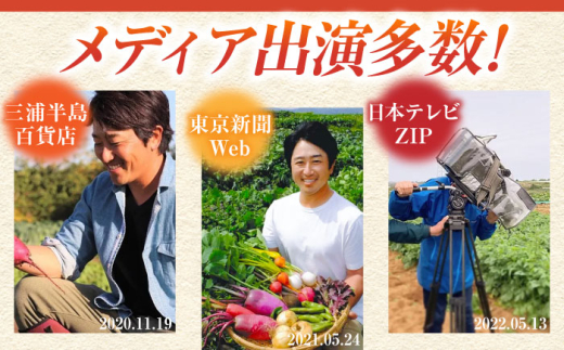 【先行予約】さつまいも 紅はるか 約5kg 野菜  やさい 【鈴也ファーム】 [AKCE025]