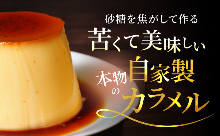 葉山ビーカープリン 180g×5個セット (かぼちゃ・エスプレッソ・抹茶・北海道フレッシュクリーム・チョコレート) 贅沢 スイーツ 人気 おすすめ 食べ比べ 横須賀 【マーロウ】 [AKAF001]