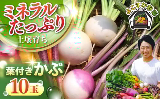 【先行予約】葉付き かぶ 10玉 野菜 やさい 【鈴也ファーム】 [AKCE016]