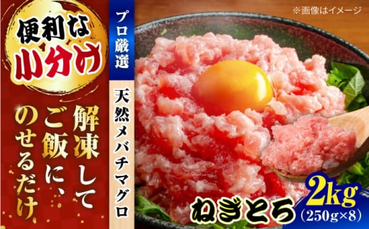 まぐろ ねぎとろ 約2kg（約250g×8パック） 鮪 マグロ 魚 ネギトロ 横須賀【本まぐろ直売所】 [AKAK006]