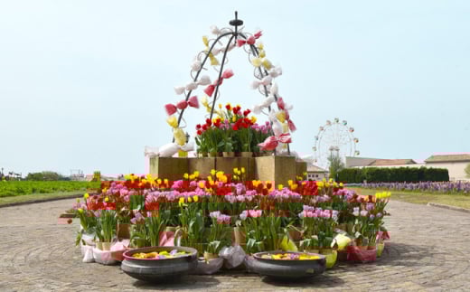 ソレイユの丘 回数券 400円分×24枚 神奈川 横須賀 観光 施設 レジャー ソレイユ ソレイユの丘 日比谷花壇 【株式会社日比谷花壇】 [AKBO002]