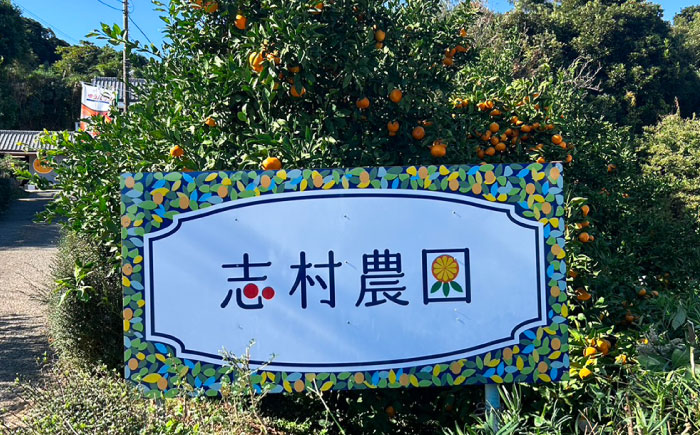 【年内発送の受付は12月22日まで！】温州みかん LLサイズ 約10kg 津久井浜みかん 蜜柑 ミカン 果物 柑橘 フルーツ 横須賀 年内発送【志村農園】 [AKGH004-3]