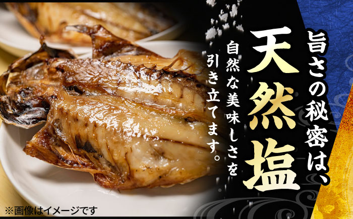 【全3回定期便】 【訳あり】漁師町佐島 真アジの開き 約1.4kg（20枚前後）セット 干物 横須賀 【石川水産】 [AKCX017]