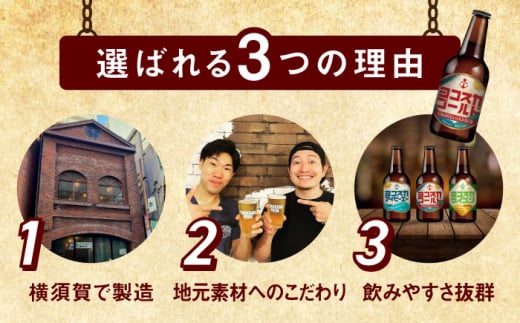 飲み比べ ビール 3種　6本セット （330ml瓶×6本）クラフトビール 【有限会社たのし屋本舗】 [AKAE047]