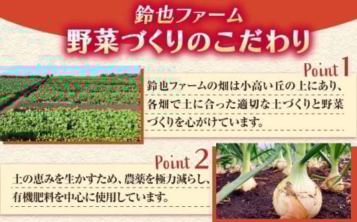 【先行予約】さつまいも 紅はるか 約3kg 野菜  やさい 【鈴也ファーム】 [AKCE024]