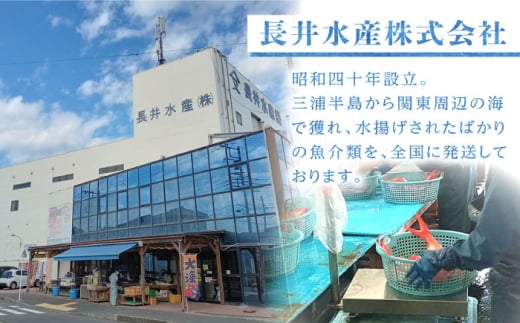 三浦半島 干物セット7枚 金目鯛2枚 真鯵5枚 キンメダイ ひもの 真アジ あじ おかず 冷凍  横須賀【長井水産株式会社】 [AKAJ003]